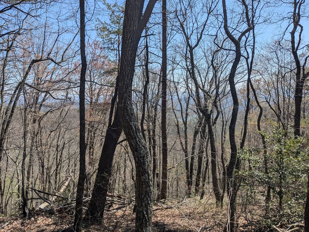 Trk 1&2 Kimsey Mountain Hwy, Turtletown TN 37391 - Photo