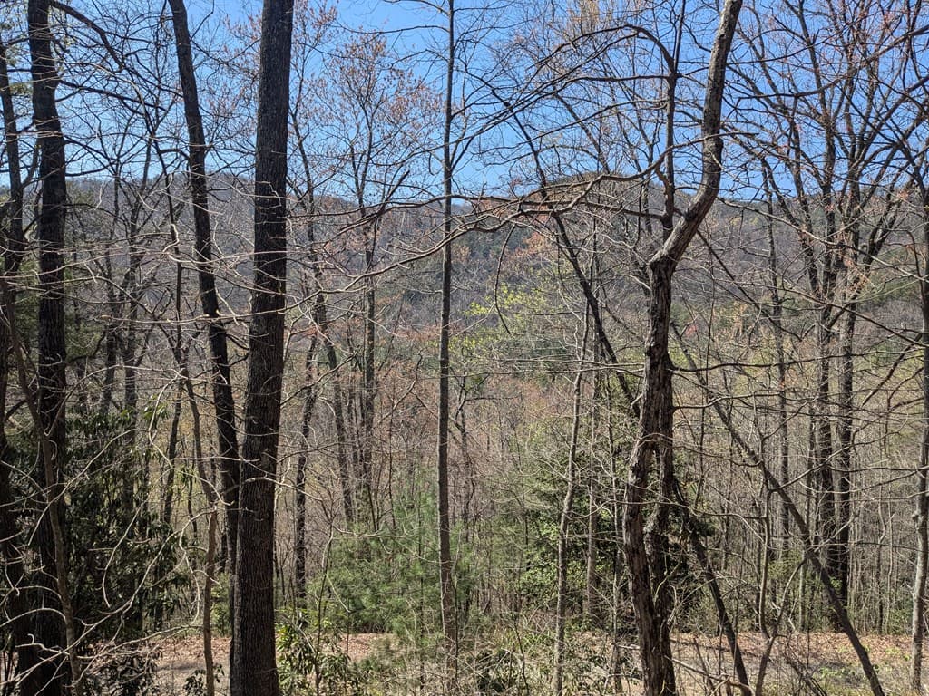 Trk 1&2 Kimsey Mountain Hwy, Turtletown TN 37391 - Photo