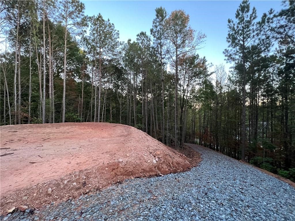85 Mauser Court, Jasper GA 30143 - Photo
