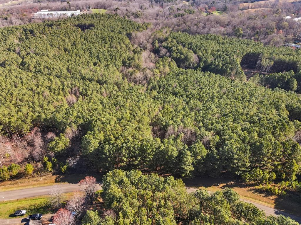 0 Foxpaw Leaf Lane, Ellijay GA 30536 - Photo