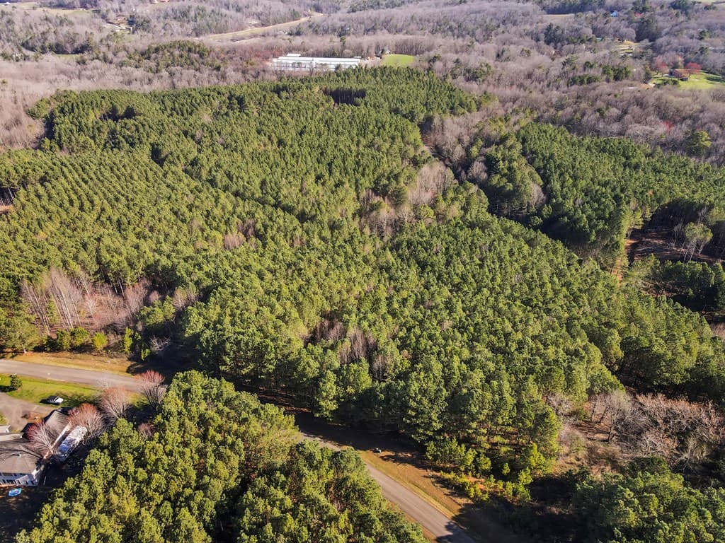 0 Foxpaw Leaf Lane, Ellijay GA 30536 - Photo