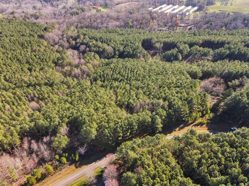 0 Foxpaw Leaf Lane, Ellijay GA 30536 - Photo