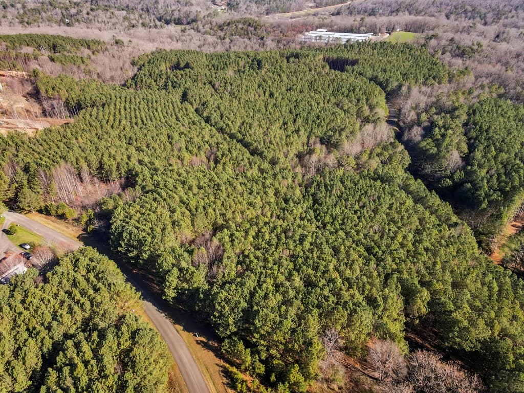 0 Foxpaw Leaf Lane, Ellijay GA 30536 - Photo