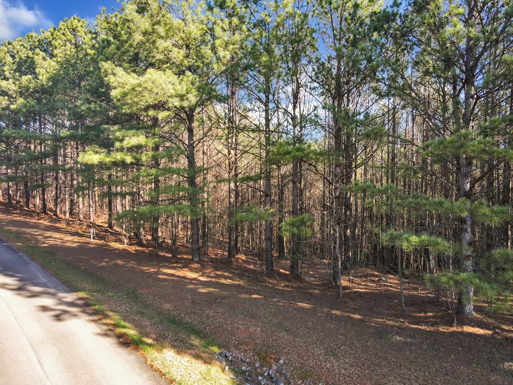 0 Foxpaw Leaf Lane, Ellijay GA 30536 - Photo
