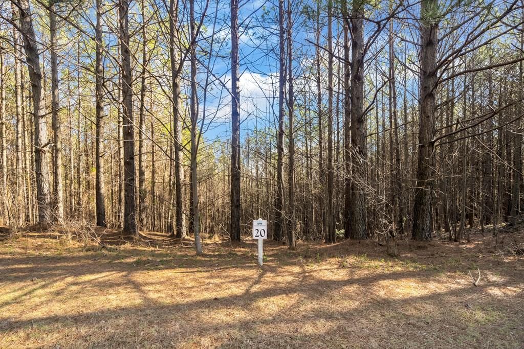 0 Foxpaw Leaf Lane, Ellijay GA 30536 - Primary photo
