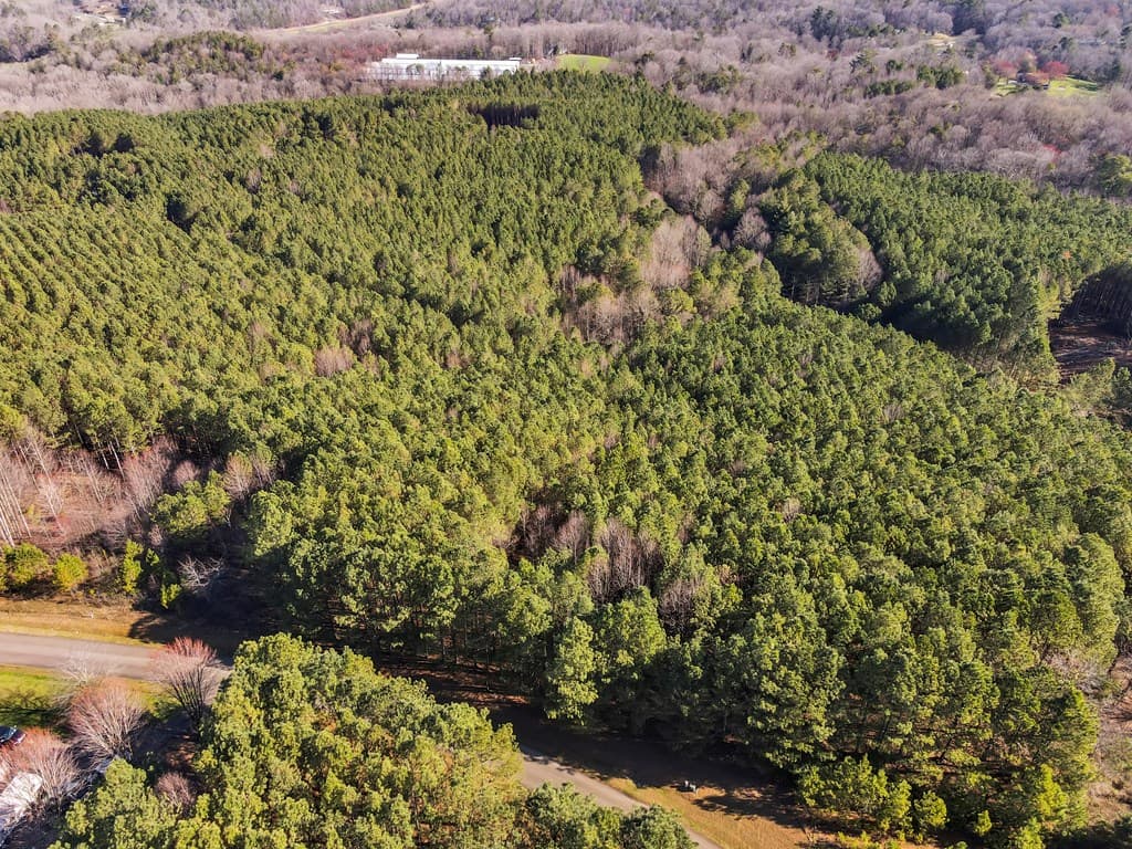 0 Foxpaw Leaf Lane, Ellijay GA 30536 - Photo