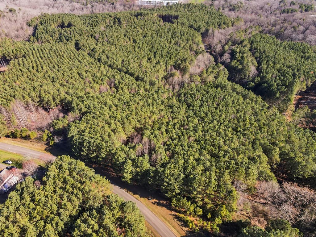 0 Foxpaw Leaf Lane, Ellijay GA 30536 - Photo