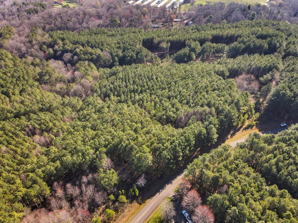 0 Foxpaw Leaf Lane, Ellijay GA 30536 - Photo