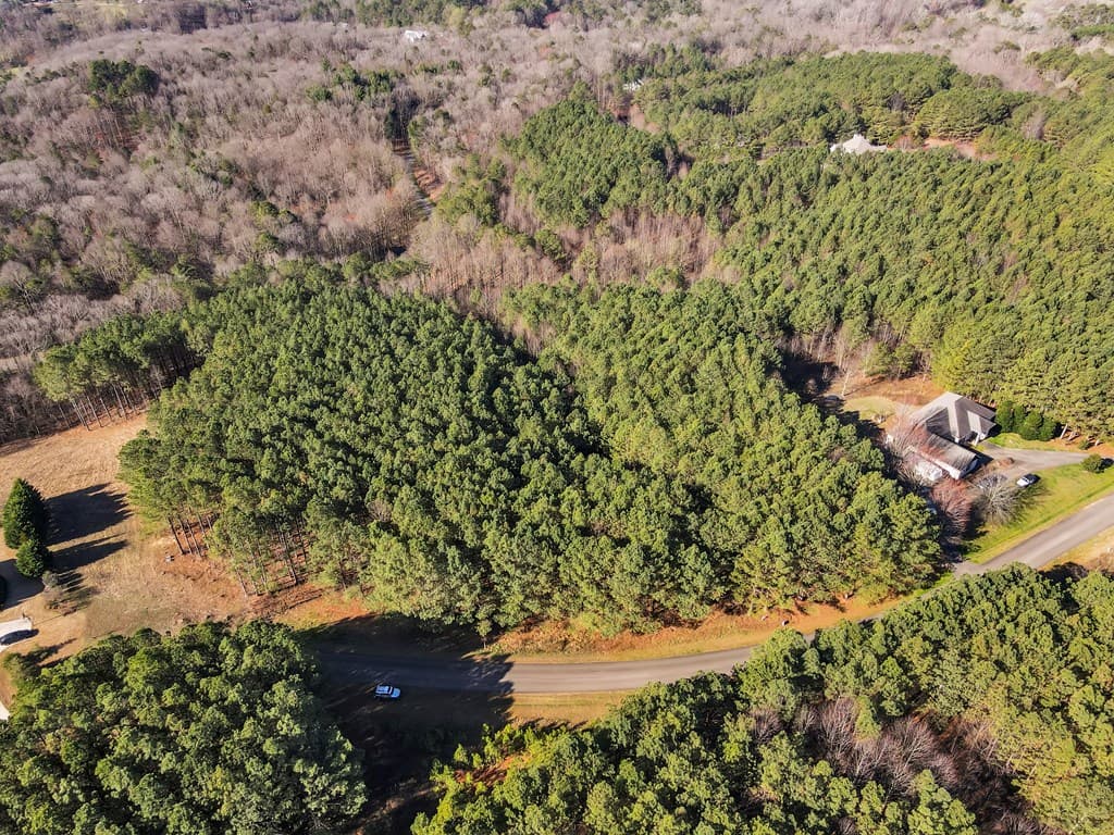 0 Foxpaw Leaf Lane, Ellijay GA 30536 - Photo