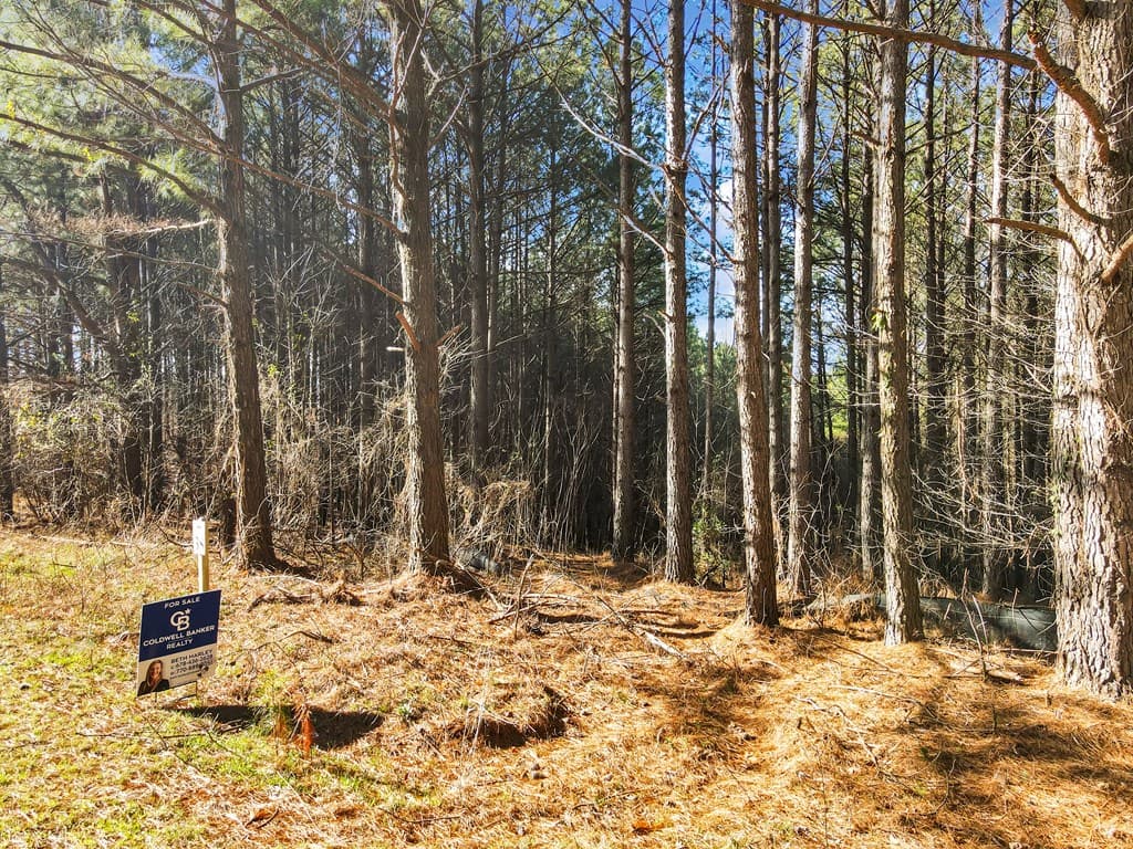 0 Foxpaw Leaf Lane, Ellijay GA 30536 - Photo