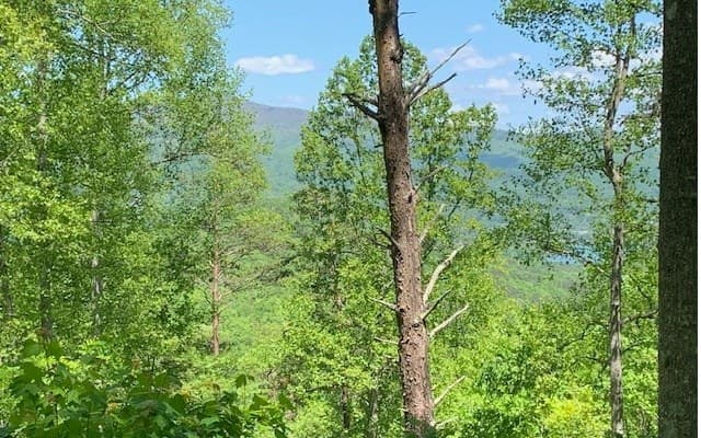 Lot 8 Hidden Summit Road, Hiawassee GA 30546 - Photo