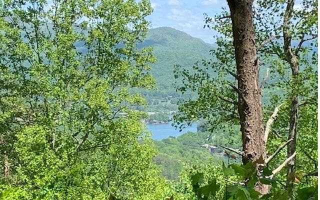 Lot 8 Hidden Summit Road, Hiawassee GA 30546 - Primary photo