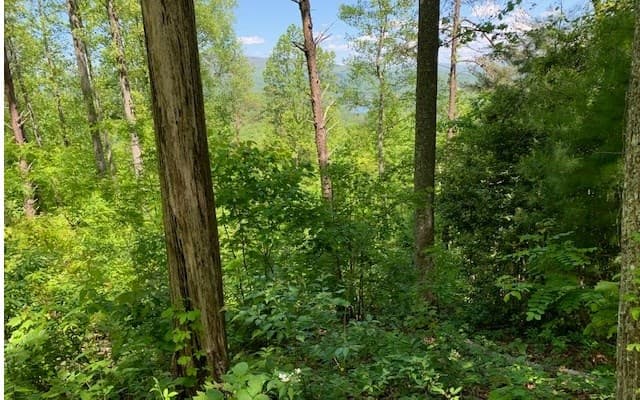 Lot 8 Hidden Summit Road, Hiawassee GA 30546 - Photo