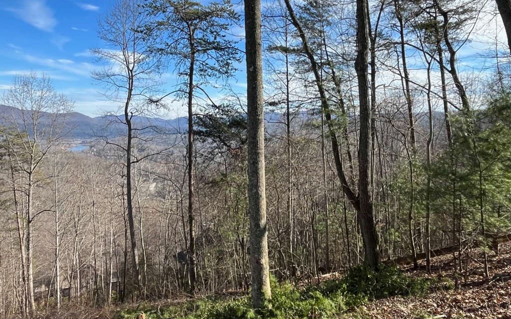 Lot 8 Hidden Summit Road, Hiawassee GA 30546 - Photo