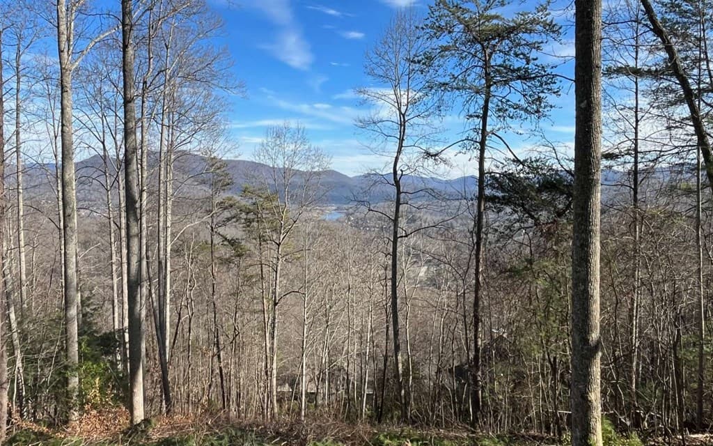 Lot 8 Hidden Summit Road, Hiawassee GA 30546 - Photo