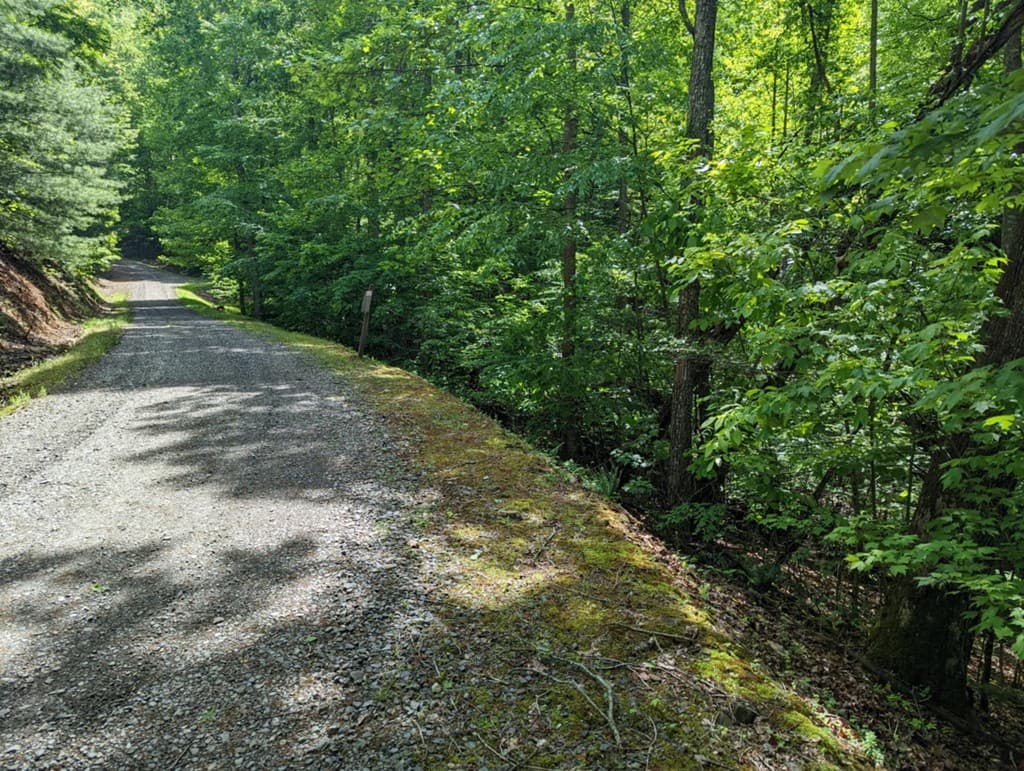 TBD Heritage Trail, Brasstown NC 28902 - Photo