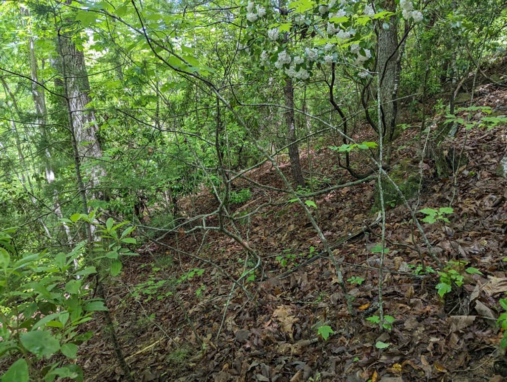 TBD Heritage Trail, Brasstown NC 28902 - Photo