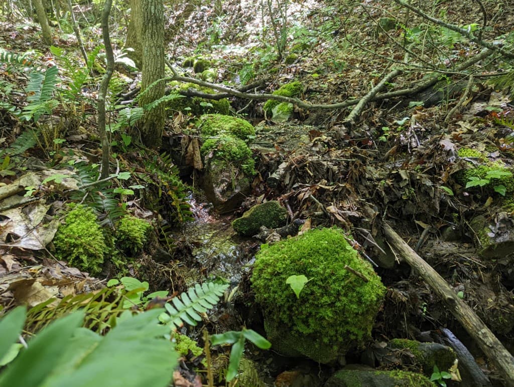 TBD Heritage Trail, Brasstown NC 28902 - Photo