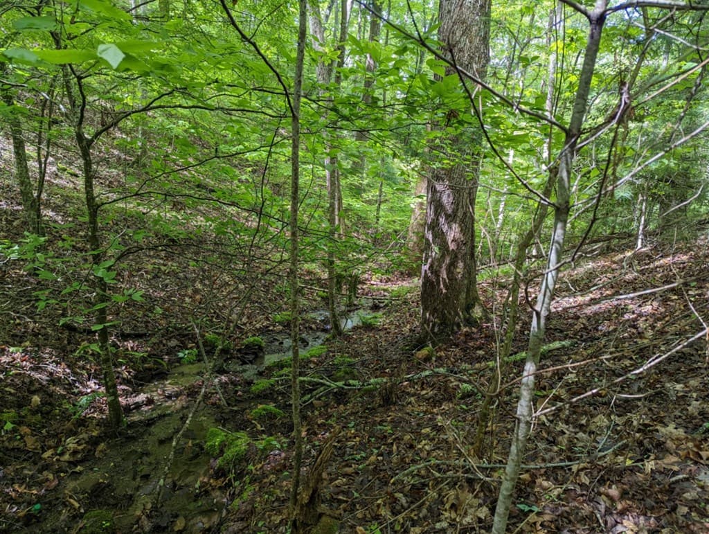 TBD Heritage Trail, Brasstown NC 28902 - Photo