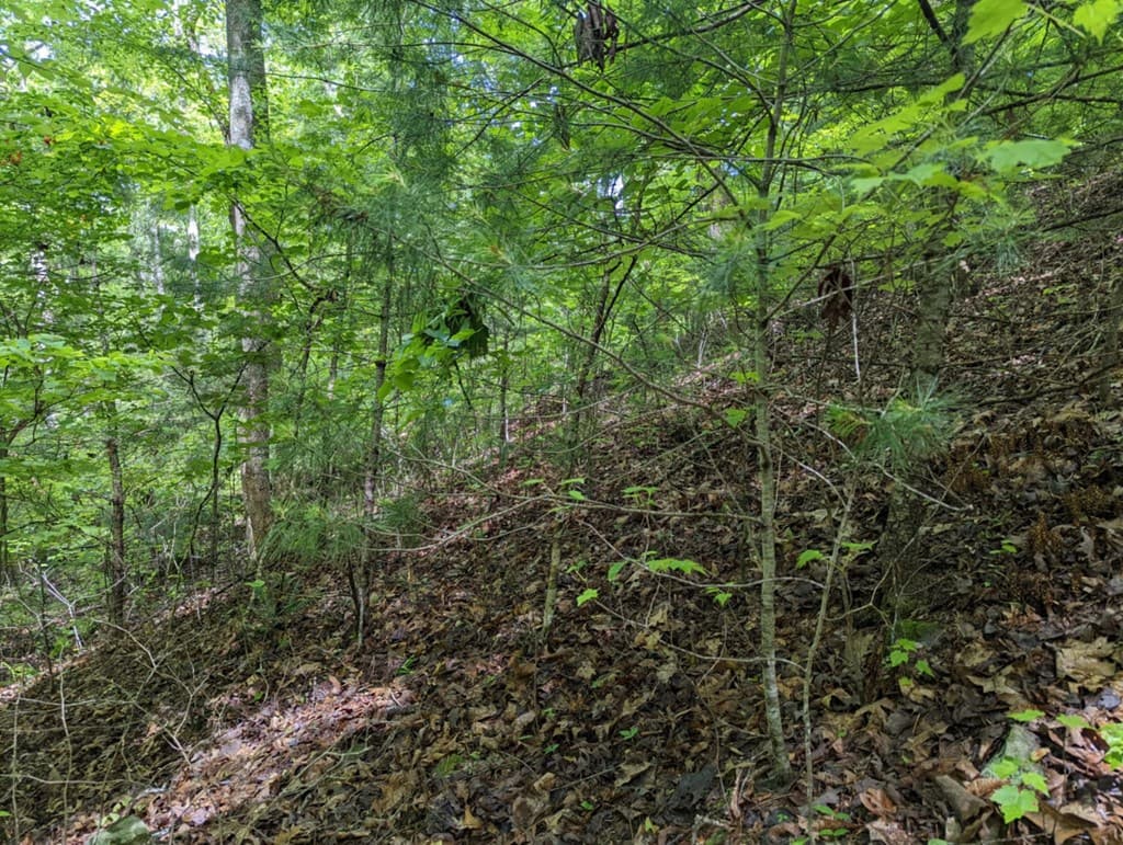 TBD Heritage Trail, Brasstown NC 28902 - Photo