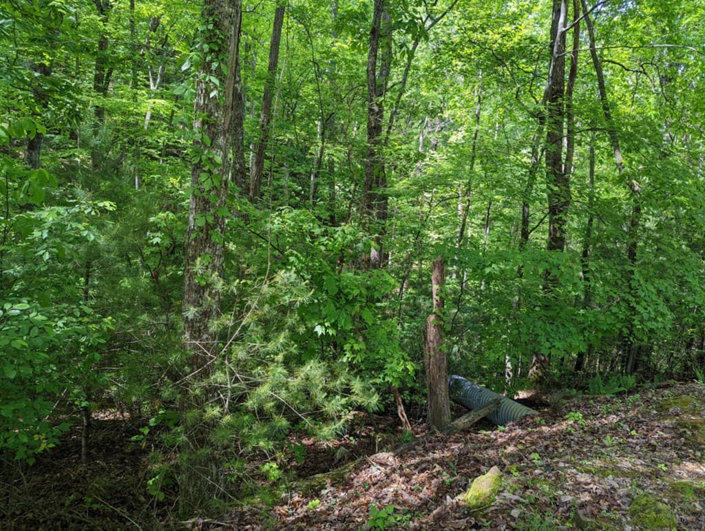 TBD Heritage Trail, Brasstown NC 28902 - Photo