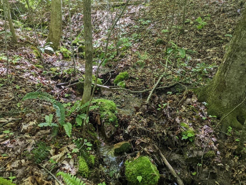 TBD Heritage Trail, Brasstown NC 28902 - Photo