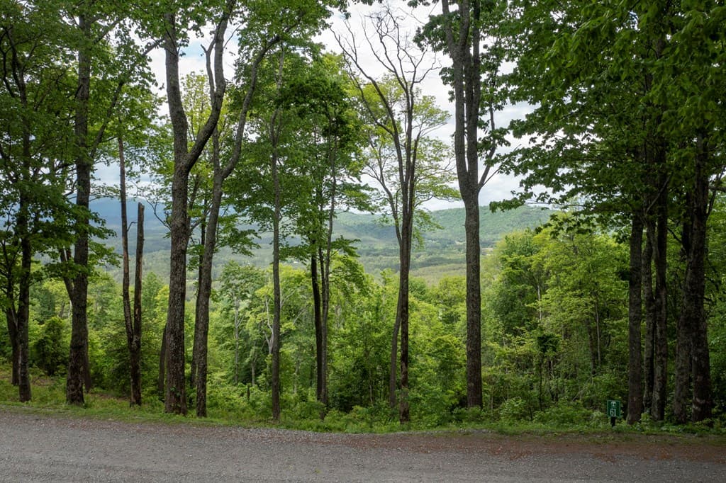 LT 61 Wilderness Creek Way, Murphy NC 28906 - Photo