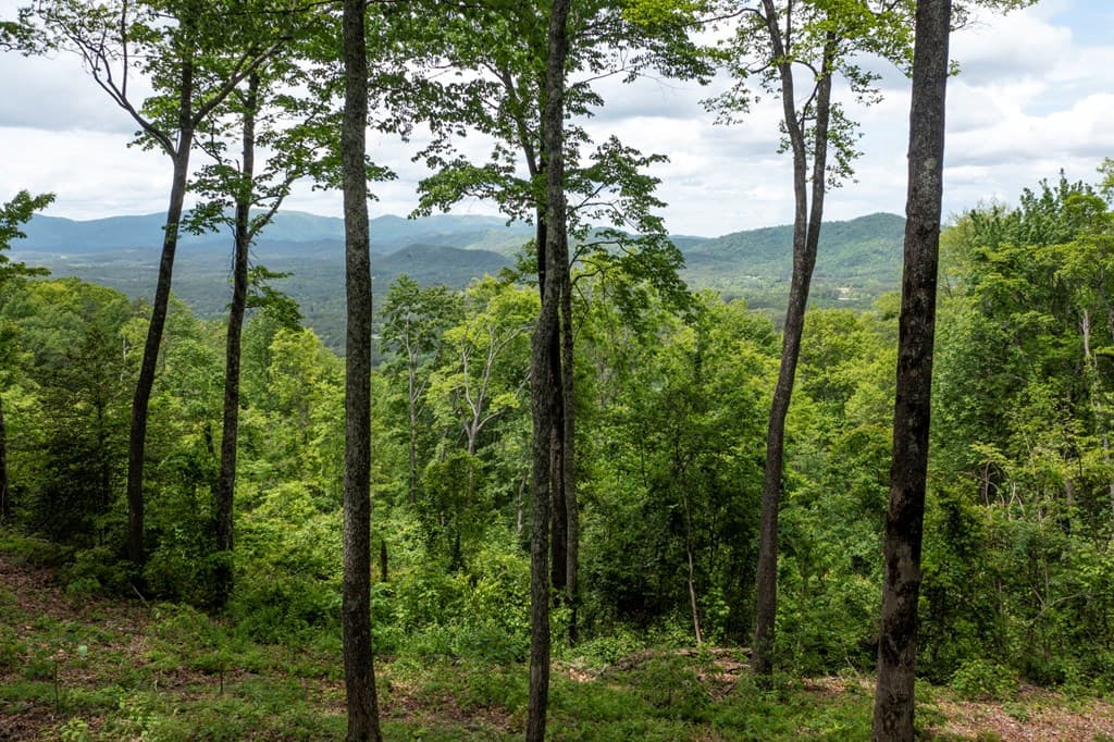 LT 61 Wilderness Creek Way, Murphy NC 28906 - Photo