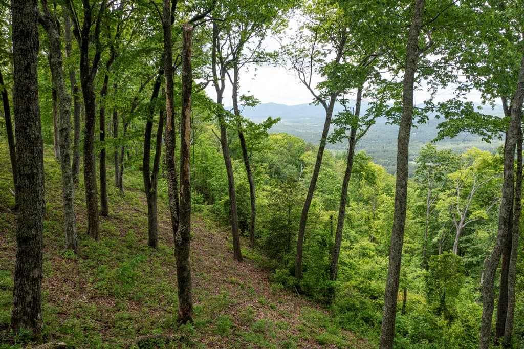 LT 61 Wilderness Creek Way, Murphy NC 28906 - Photo