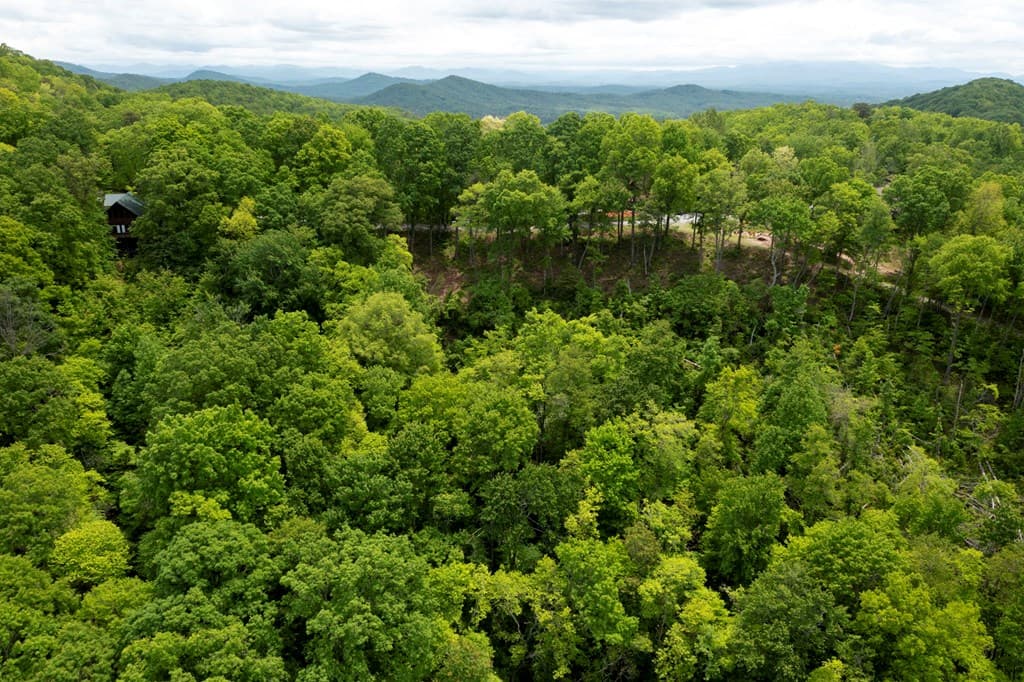 LT 61 Wilderness Creek Way, Murphy NC 28906 - Photo