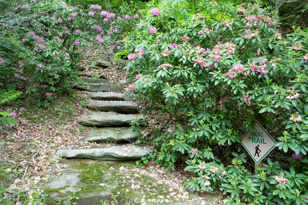 LT 61 Wilderness Creek Way, Murphy NC 28906 - Photo