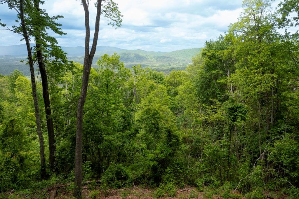 LT 61 Wilderness Creek Way, Murphy NC 28906 - Primary photo