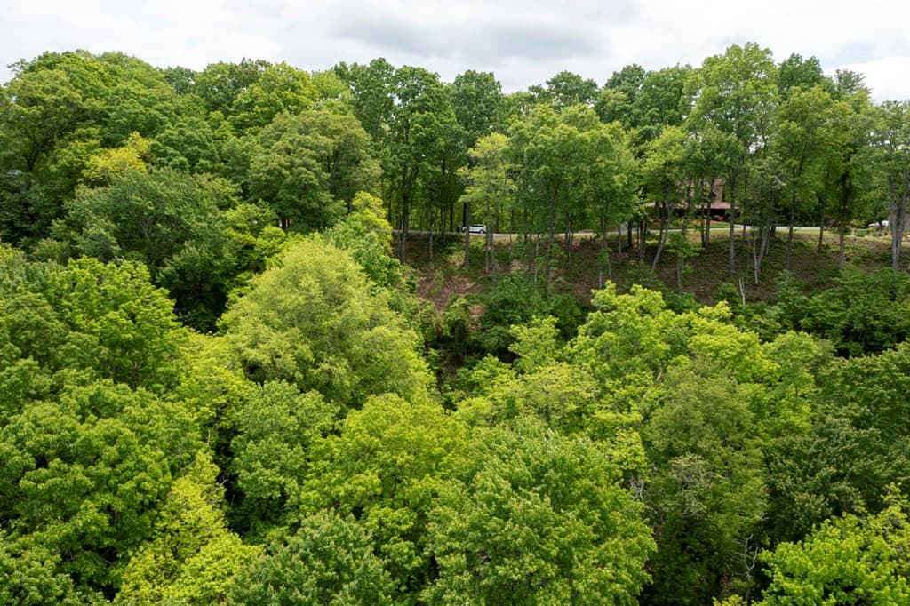 LT 61 Wilderness Creek Way, Murphy NC 28906 - Photo
