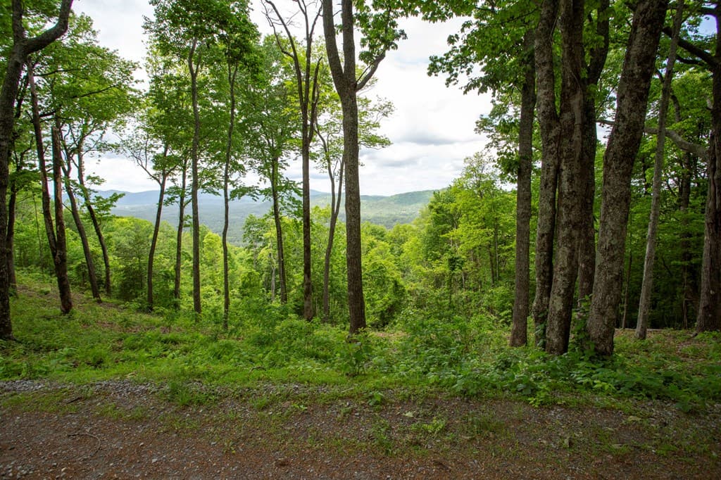 LT 61 Wilderness Creek Way, Murphy NC 28906 - Photo