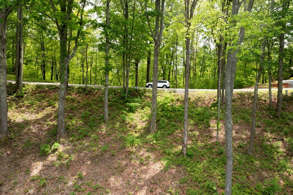 LT 61 Wilderness Creek Way, Murphy NC 28906 - Photo