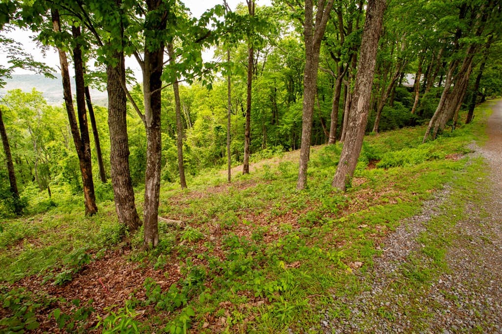 LT 61 Wilderness Creek Way, Murphy NC 28906 - Photo