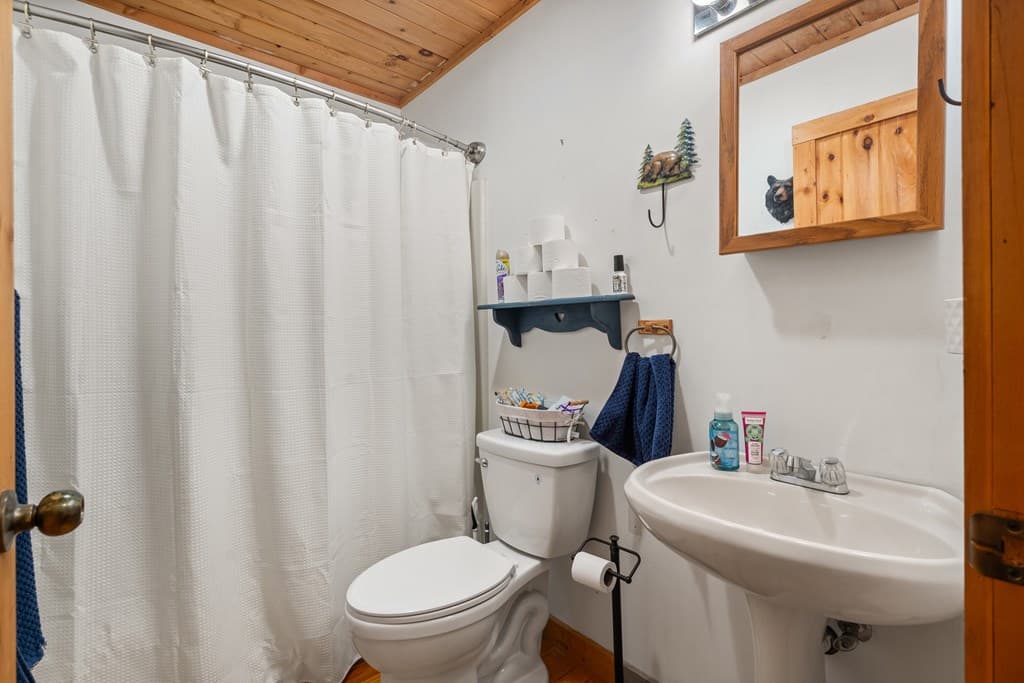 127 Berry Reister Drive, Blairsville GA 30512 - Photo