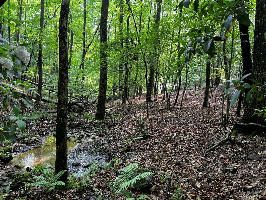 3.52 AC Payne Way, Blairsville GA 30512 - Photo