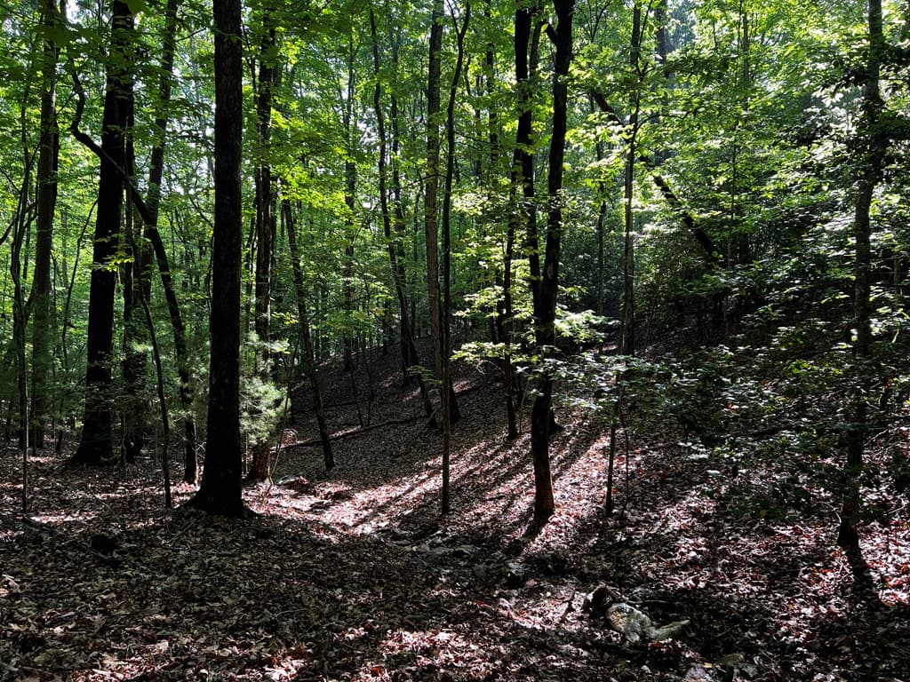 3.52 AC Payne Way, Blairsville GA 30512 - Photo