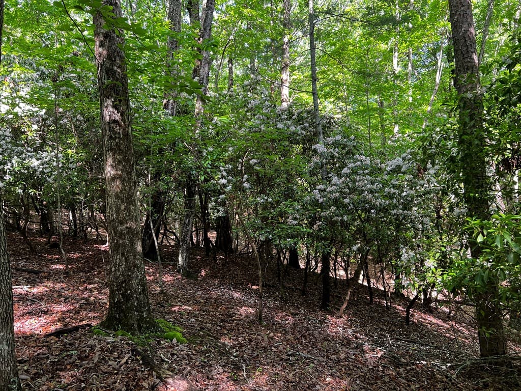 3.52 AC Payne Way, Blairsville GA 30512 - Photo