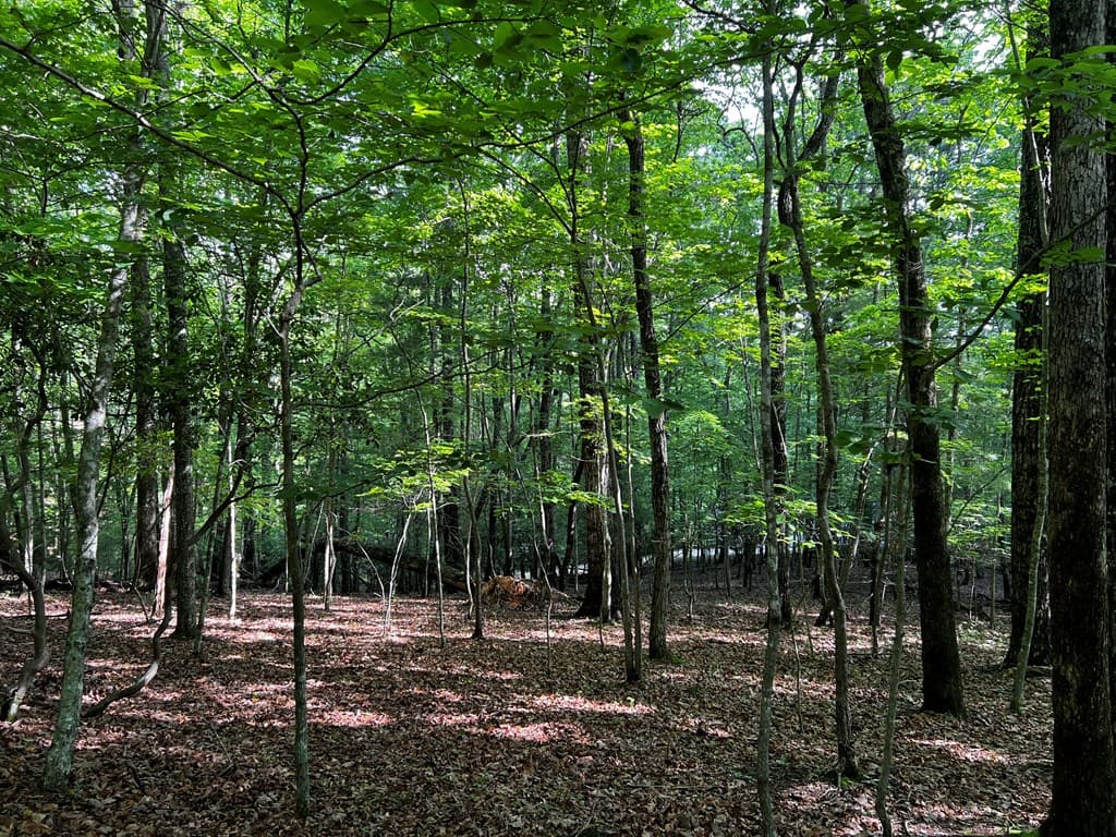 3.52 AC Payne Way, Blairsville GA 30512 - Photo