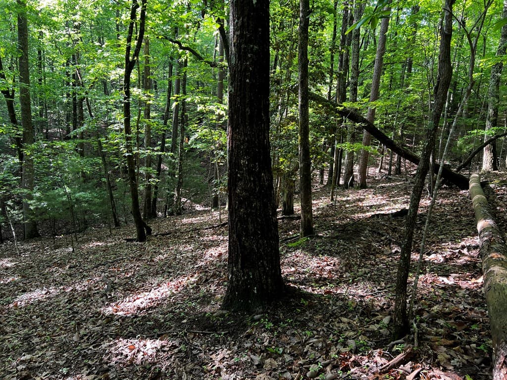 3.52 AC Payne Way, Blairsville GA 30512 - Photo