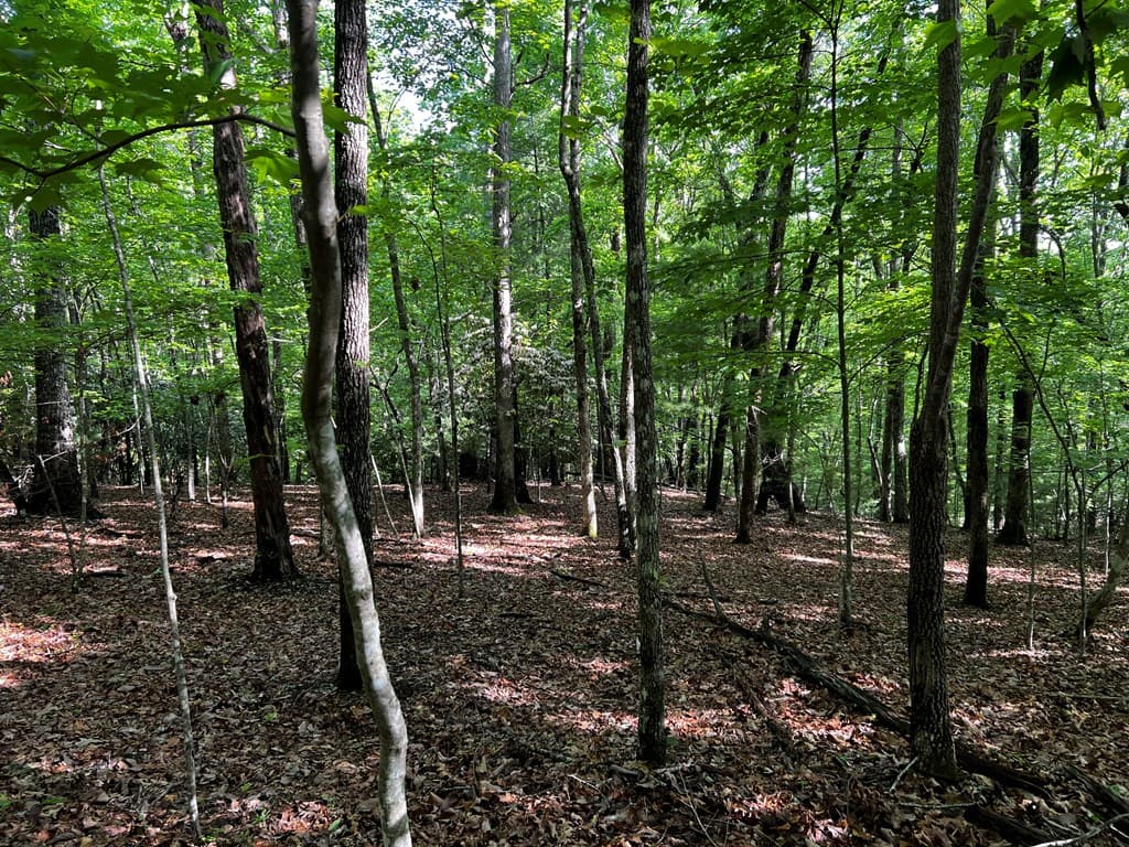 3.52 AC Payne Way, Blairsville GA 30512 - Photo