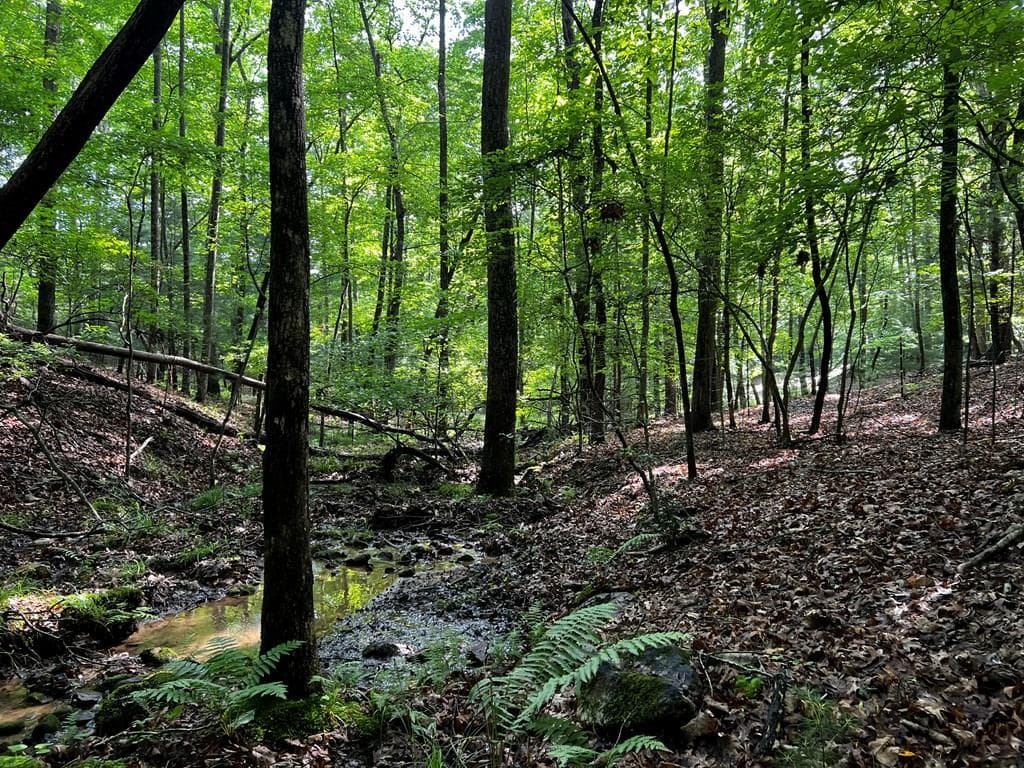 3.52 AC Payne Way, Blairsville GA 30512 - Primary photo