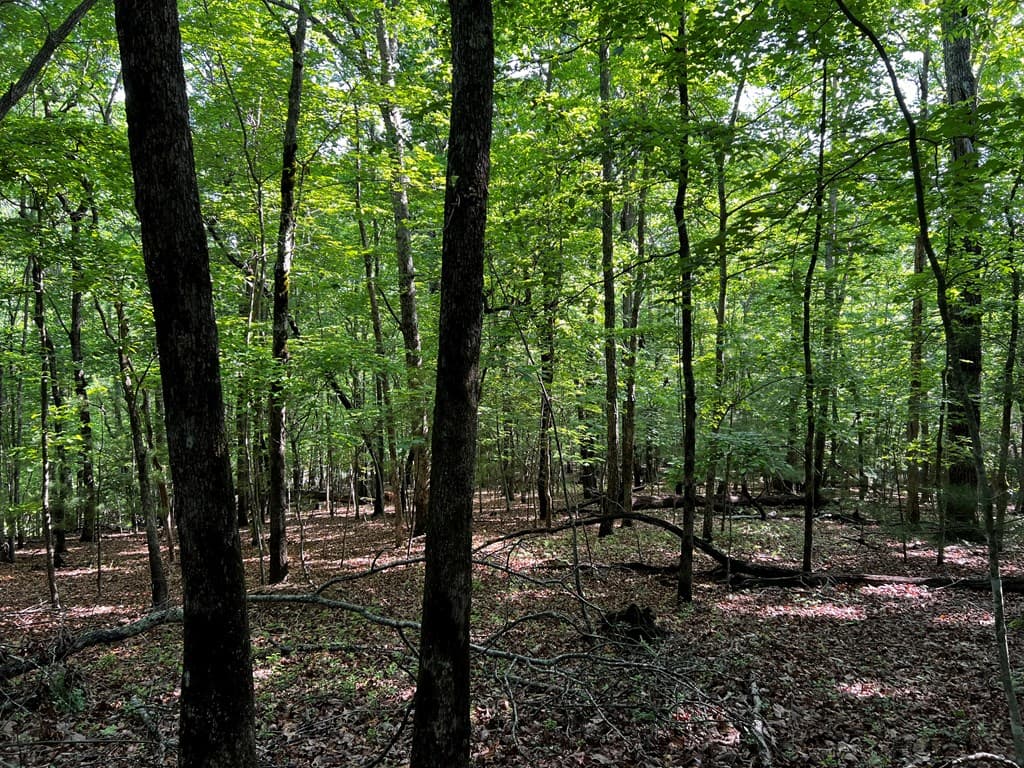 3.52 AC Payne Way, Blairsville GA 30512 - Photo