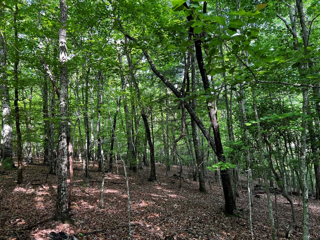3.52 AC Payne Way, Blairsville GA 30512 - Photo