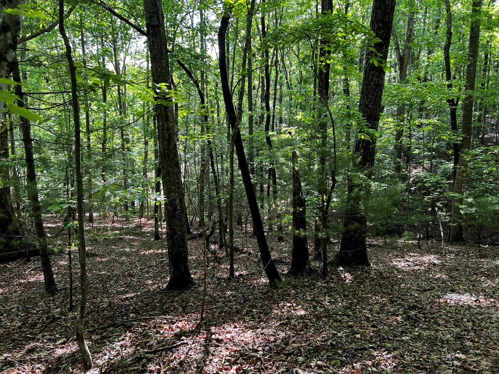 3.52 AC Payne Way, Blairsville GA 30512 - Photo