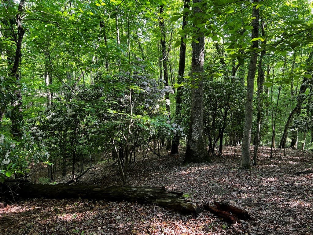 3.52 AC Payne Way, Blairsville GA 30512 - Photo