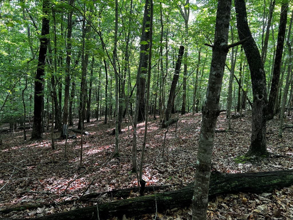 3.52 AC Payne Way, Blairsville GA 30512 - Photo
