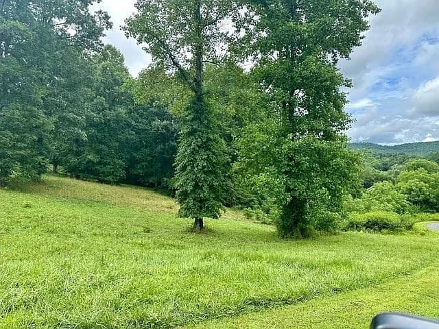 Lot 15 Pleasant Meadows, Blairsville GA 30512 - Photo